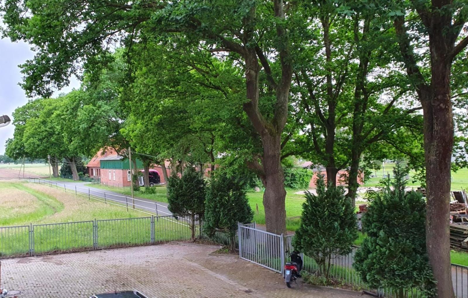 Grosse Loft In Idyllischer Lage دلمنهورست المظهر الخارجي الصورة